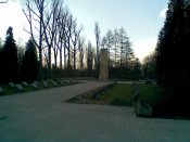 02.08.11_52.jpg