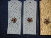 DSCN7781.JPG
