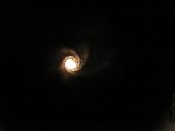 IMG_1915.JPG