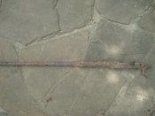 DSC02411.JPG