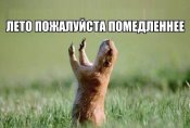 w-7PAMVBa8w.jpg