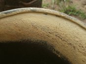 PC070691.JPG