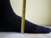 15.JPG