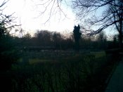 02.08.11_10.jpg