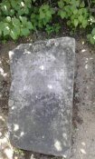20160619_142222.jpg