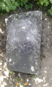 20160619_142228.jpg