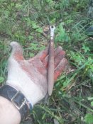 IMG_20160619_182137.jpg