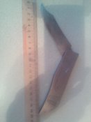 Lenovo_A1000_IMG_20160620_141644.jpg