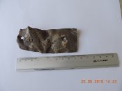 DSCN4573.JPG