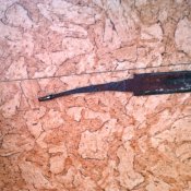 IMG_20160620_124708.jpg