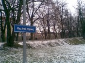 02.05.11_045.jpg