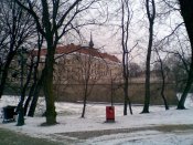 02.05.11_046.jpg