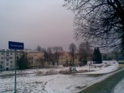 02.05.11_050.jpg