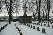 01.25.11_14.jpg