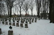 01.25.11_15.jpg
