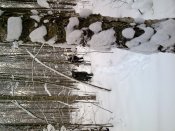 Фото001.jpg
