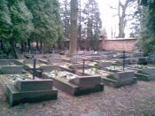 02.05.11_111.jpg