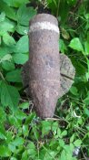20160612_132203.jpg