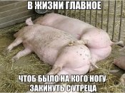 efbIfOFIvCQ.jpg