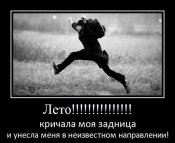 313446156.jpeg