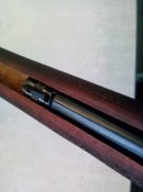 IMG_20160619_201158.jpg