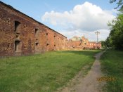 IMG_4172.JPG