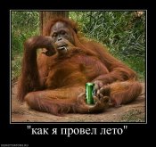 969568_kak-ya-provel-leto.jpg