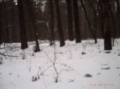 PICT0310.JPG