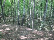 IMG_0114.JPG