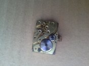 20160618_075359.jpg