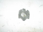 IMG_1289.JPG
