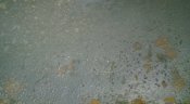 WP_20160626_119.jpg