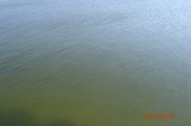 DSC_0092.JPG