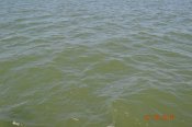 DSC_0450.JPG