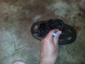 IMG_20160627_233037.jpg