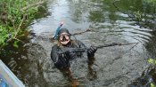 DSC07956.JPG