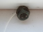 DSC09594.JPG