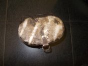 DSCN7542.JPG