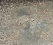 IMG_0116.JPG