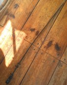 2016-06-30 16-17-19.JPG