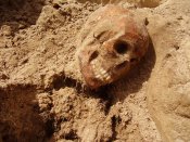 6skull.JPG