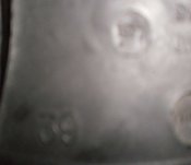 P2250063_thumb.jpg