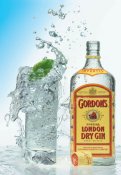 gordonsgin.jpg