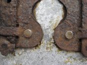 Изображение 205.jpg