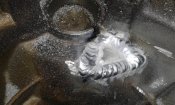 20160408_161253.jpg