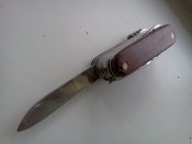IMG2168.jpg