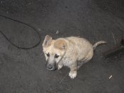IMGP0226.JPG