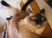 img0031.jpg