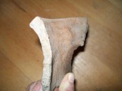 100_2636.jpg