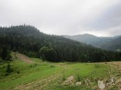 IMG_3083.JPG